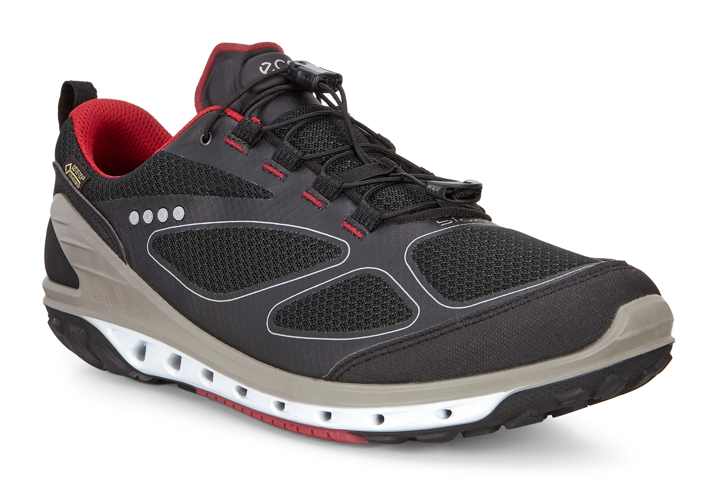 ecco biom venture